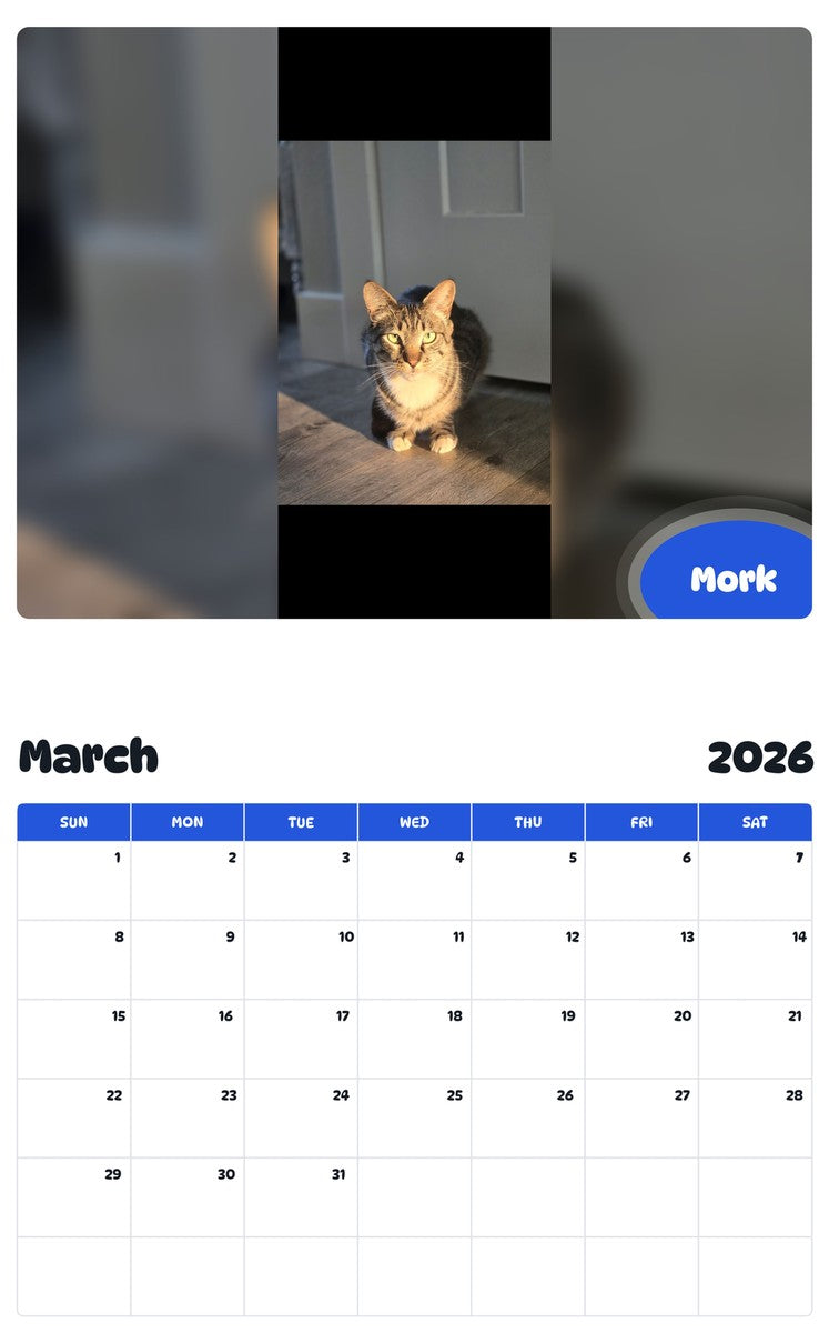 November 2025 - October 2026 Mork - Pawidols Pet Calendar