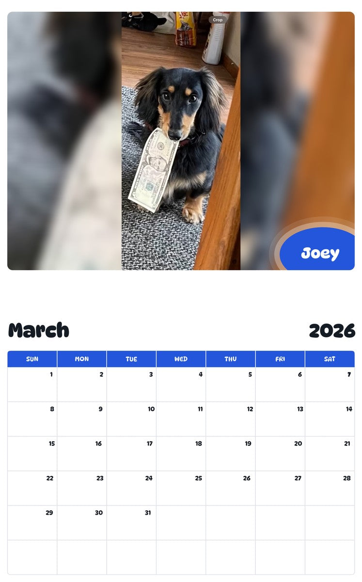 November 2025 - October 2026 Joey - Pawidols Pet Calendar