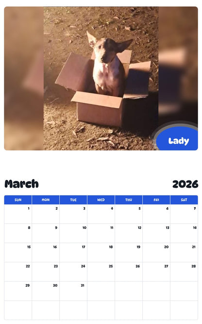 November 2025 - October 2026 Lady - Pawidols Pet Calendar