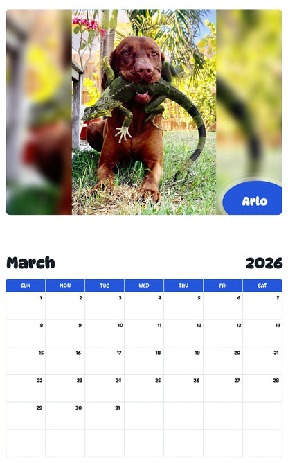 November 2025 - October 2026 Arlo - Pawidols Pet Calendar