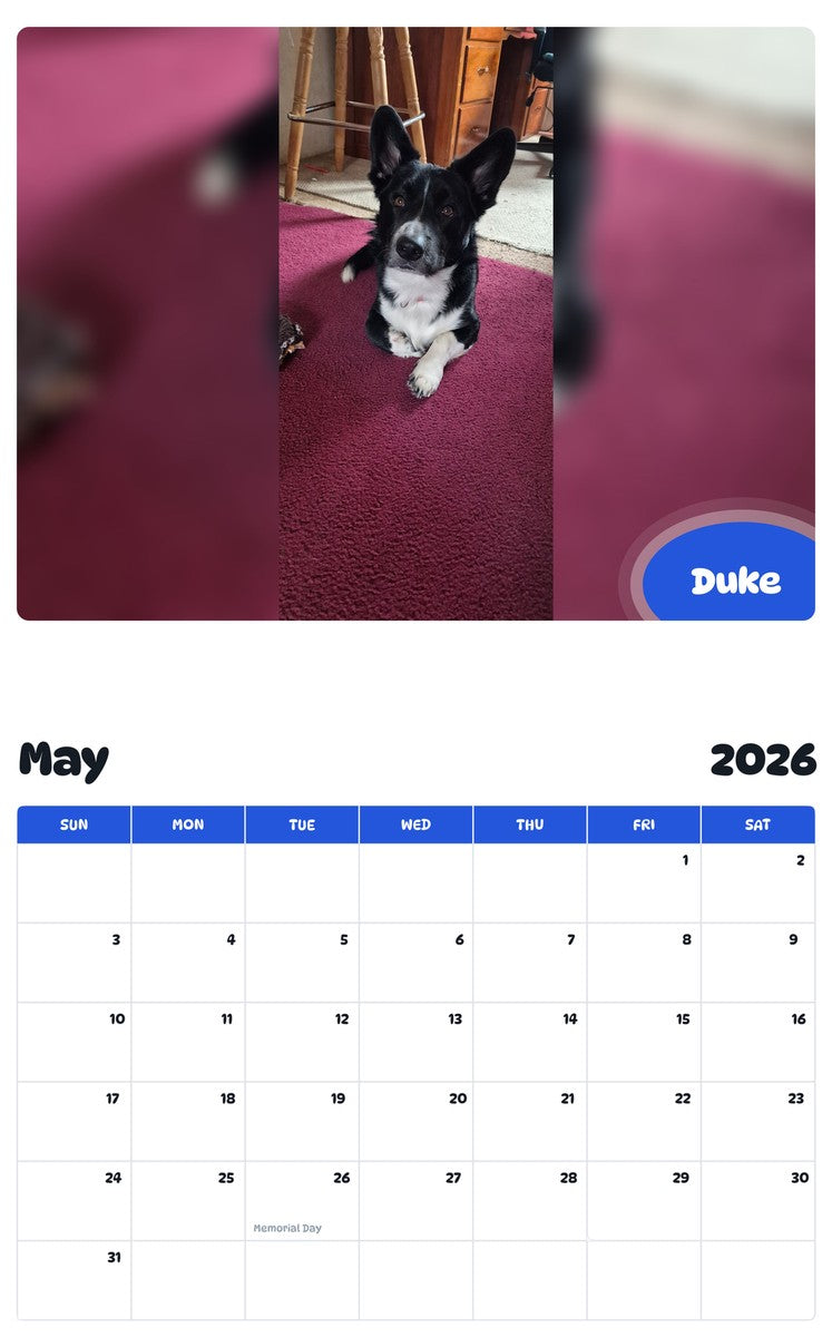 2026 - 2027 Duke - Pawidols Pet Calendar