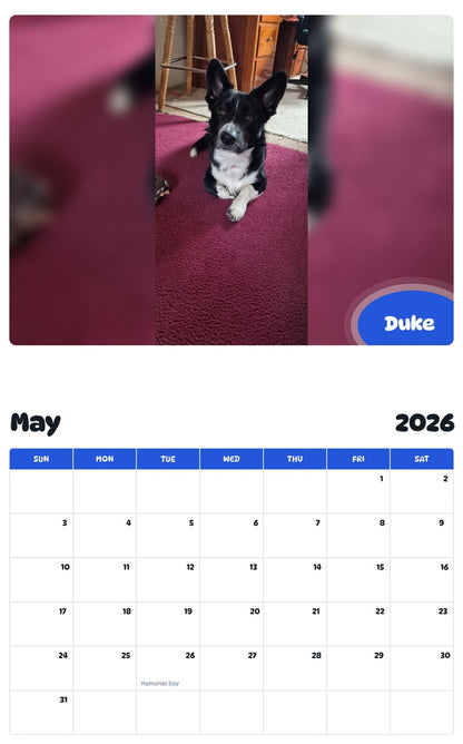 2026 - 2027 Duke - Pawidols Pet Calendar