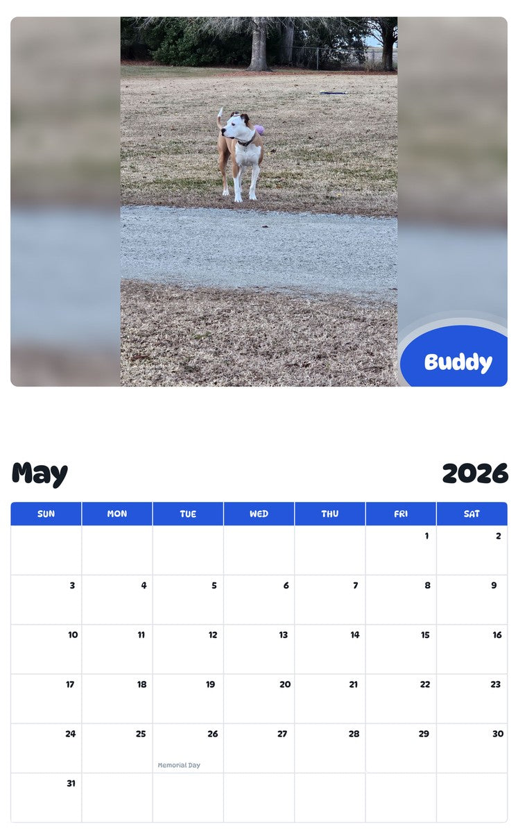 2026 - 2027 Buddy - Pawidols Pet Calendar