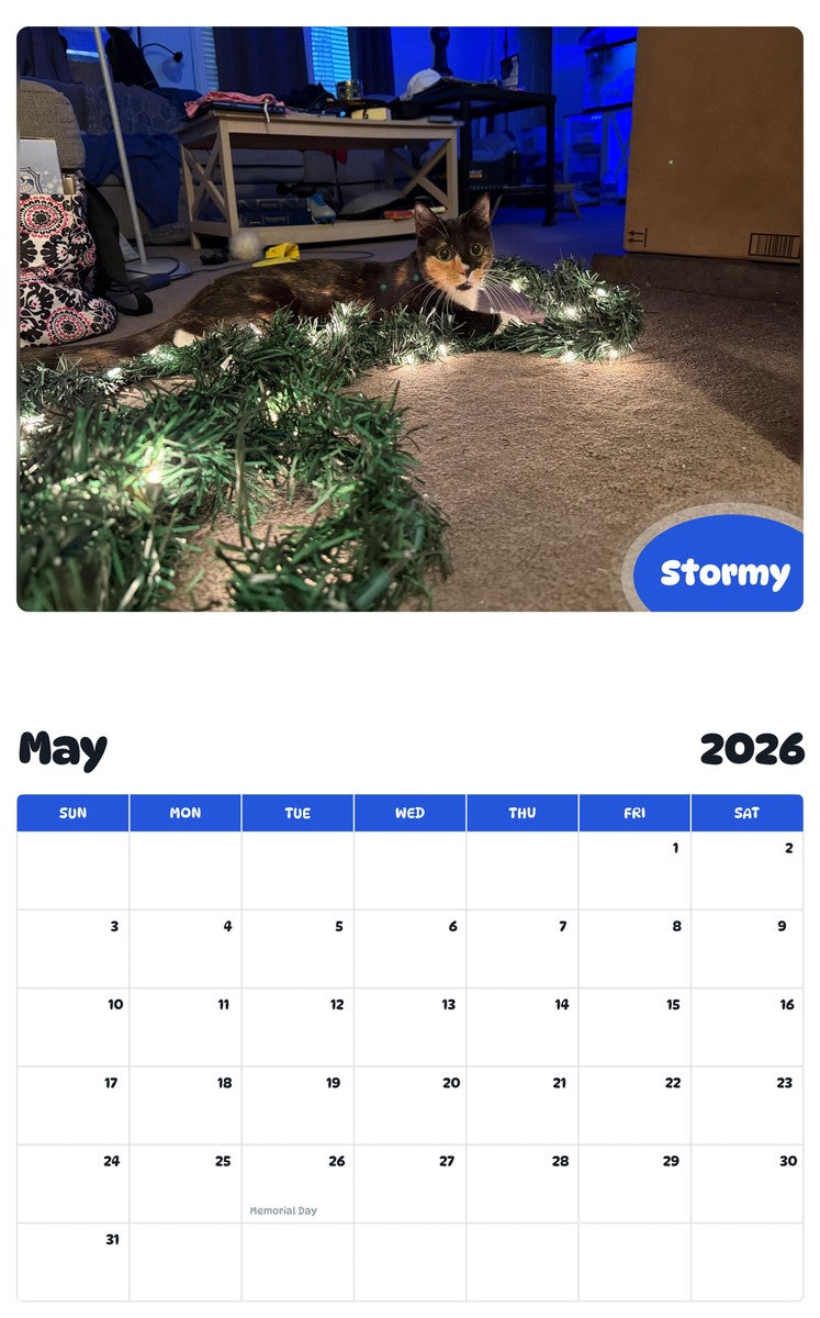 2026 - 2027 Stormy - Pawidols Pet Calendar