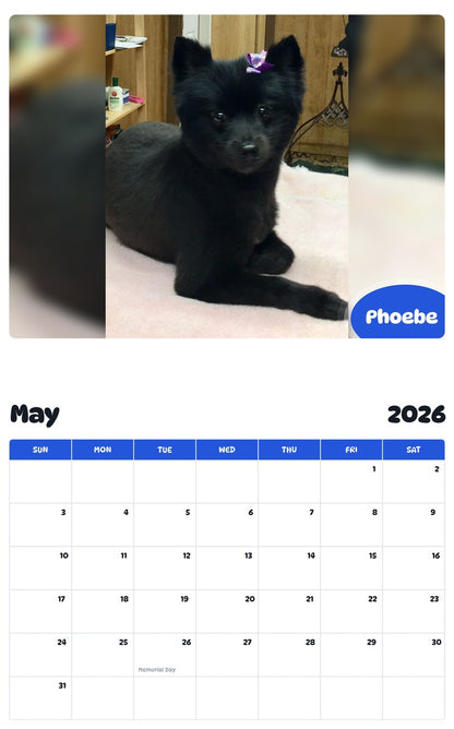 2026 - 2027 Phoebe - Pawidols Pet Calendar