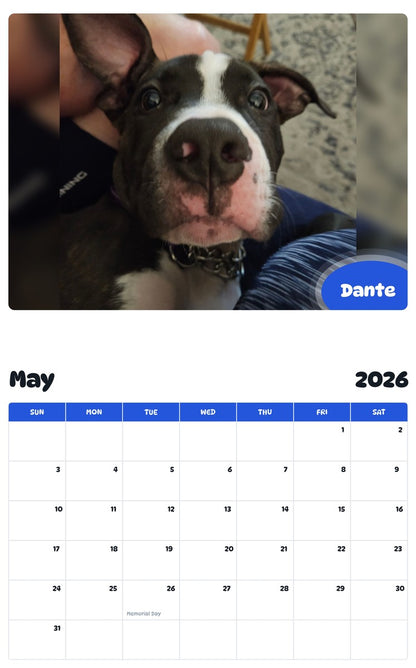 2026 - 2027 Dante - Pawidols Pet Calendar