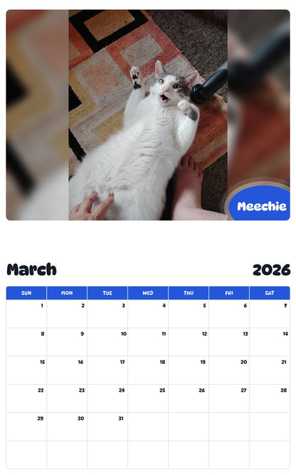 November 2025 - October 2026 Meechie - Pawidols Pet Calendar
