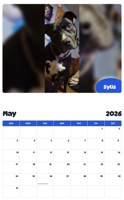 2026 - 2027 Sylis - Pawidols Pet Calendar