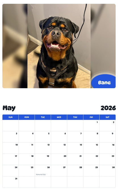 2026 - 2027 Bane - Pawidols Pet Calendar
