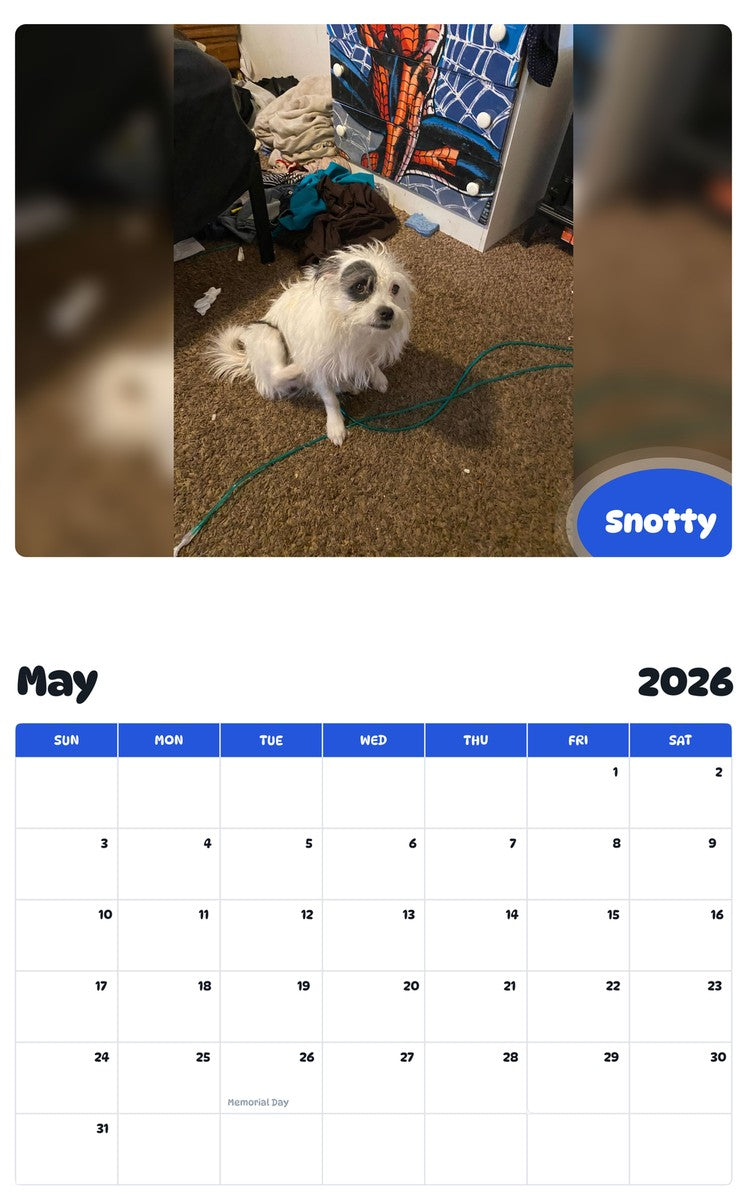 2026 - 2027 Snotty - Pawidols Pet Calendar