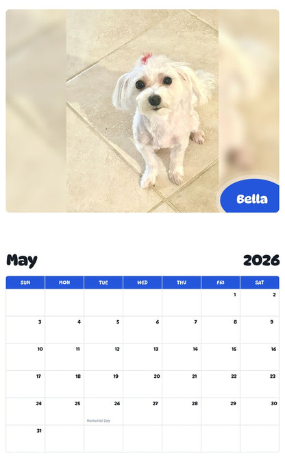 2026 - 2027 Bella - Pawidols Pet Calendar