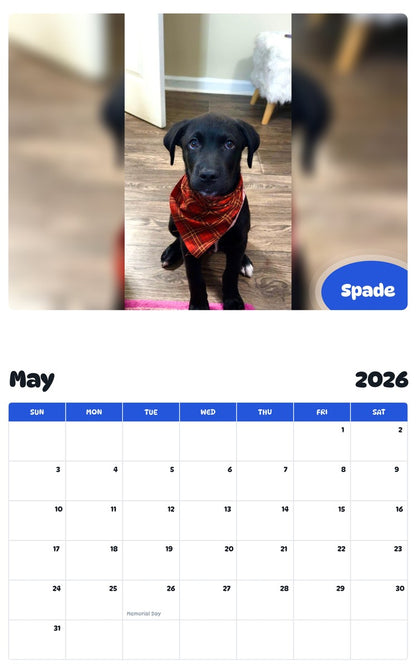 2026 - 2027 Spade - Pawidols Pet Calendar