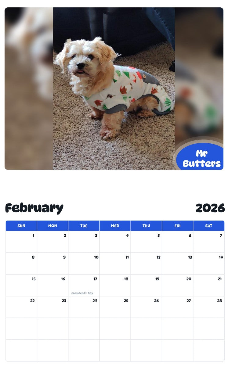 November 2025 - October 2026 Mr Butters - Pawidols Pet Calendar