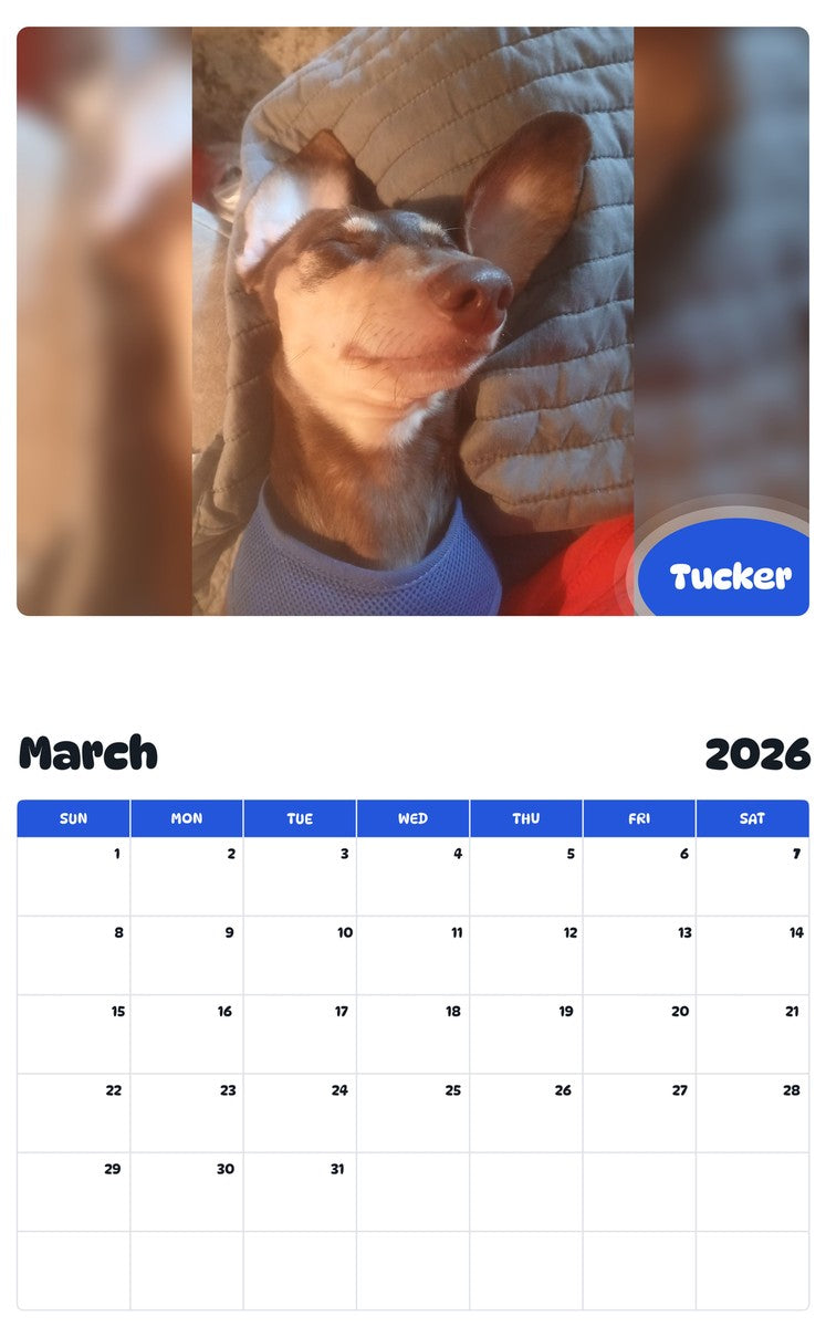 November 2025 - October 2026 Tucker - Pawidols Pet Calendar