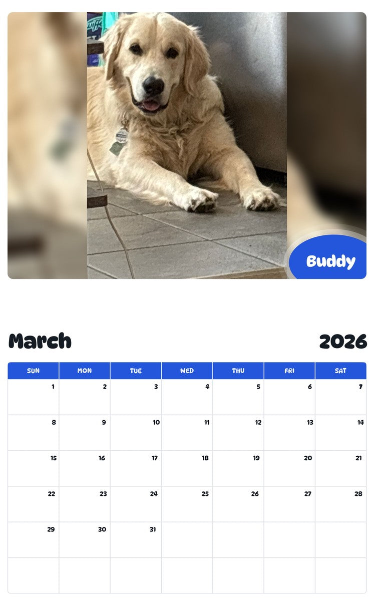 November 2025 - October 2026 Buddy - Pawidols Pet Calendar