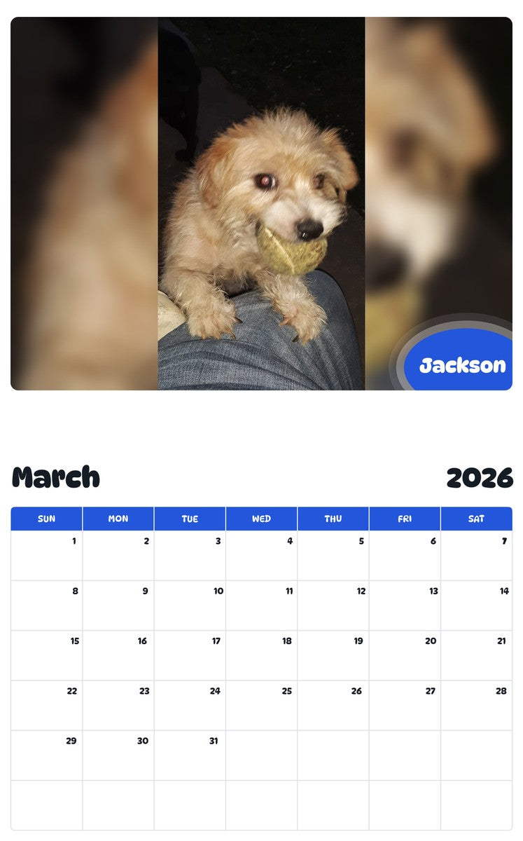 November 2025 - October 2026 Jackson - Pawidols Pet Calendar