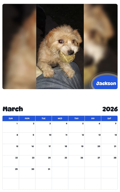 November 2025 - October 2026 Jackson - Pawidols Pet Calendar