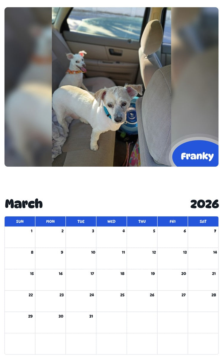 November 2025 - October 2026 Franky - Pawidols Pet Calendar
