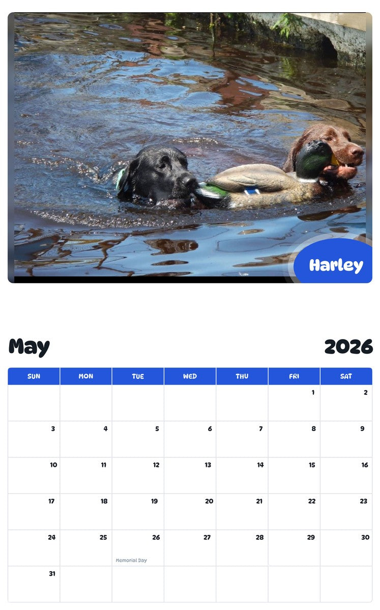 2026 - 2027 Harley - Pawidols Pet Calendar
