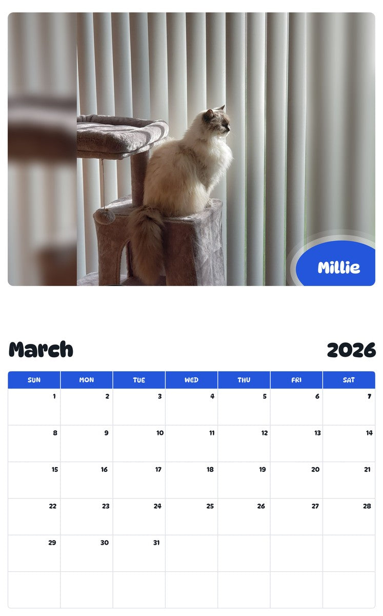 November 2025 - October 2026 Millie - Pawidols Pet Calendar
