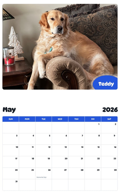 2026 - 2027 Teddy - Pawidols Pet Calendar