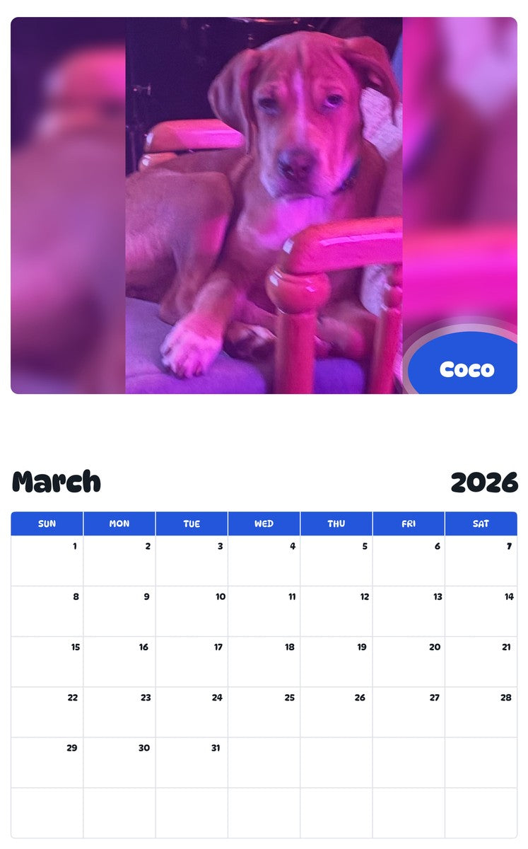 November 2025 - October 2026 Coco - Pawidols Pet Calendar