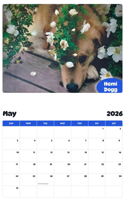 2026 - 2027 Hemi Dogg - Pawidols Pet Calendar