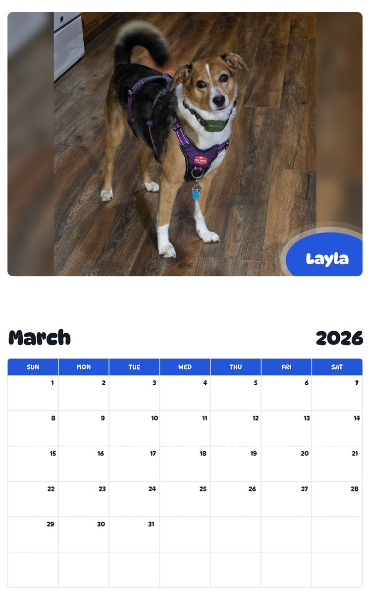 November 2025 - October 2026 Layla - Pawidols Pet Calendar