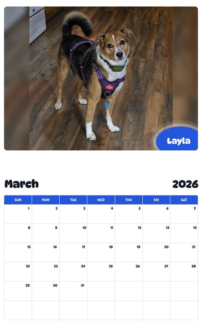 November 2025 - October 2026 Layla - Pawidols Pet Calendar