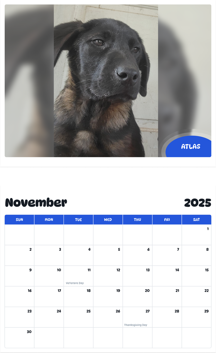 July 2025 - June 2026 Atlas - Pawidols Pet Calendar
