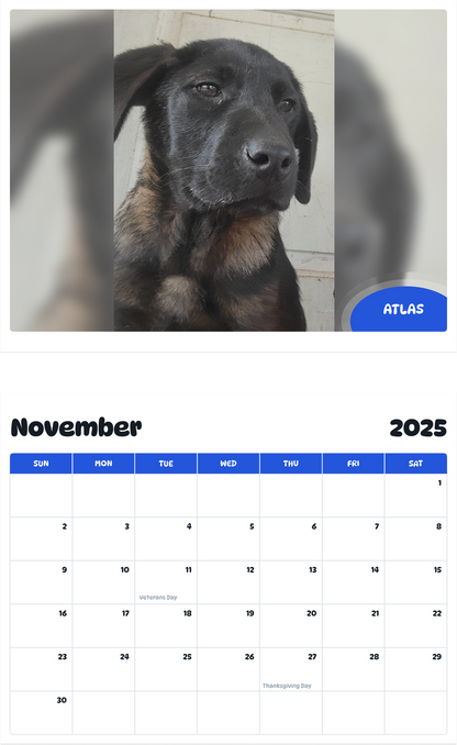 July 2025 - June 2026 Atlas - Pawidols Pet Calendar
