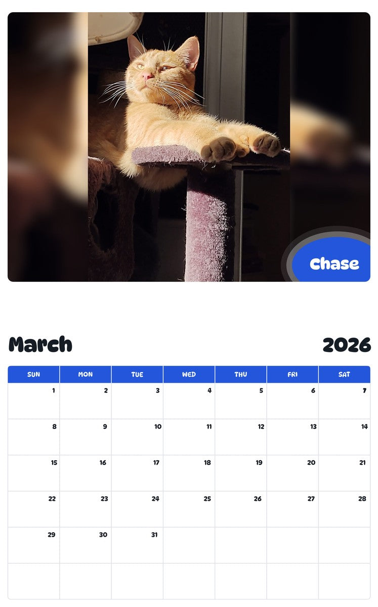 November 2025 - October 2026 Chase - Pawidols Pet Calendar