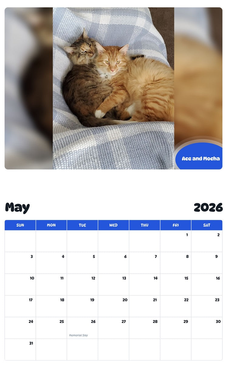 2026 - 2027 Ace and Mocha - Pawidols Pet Calendar