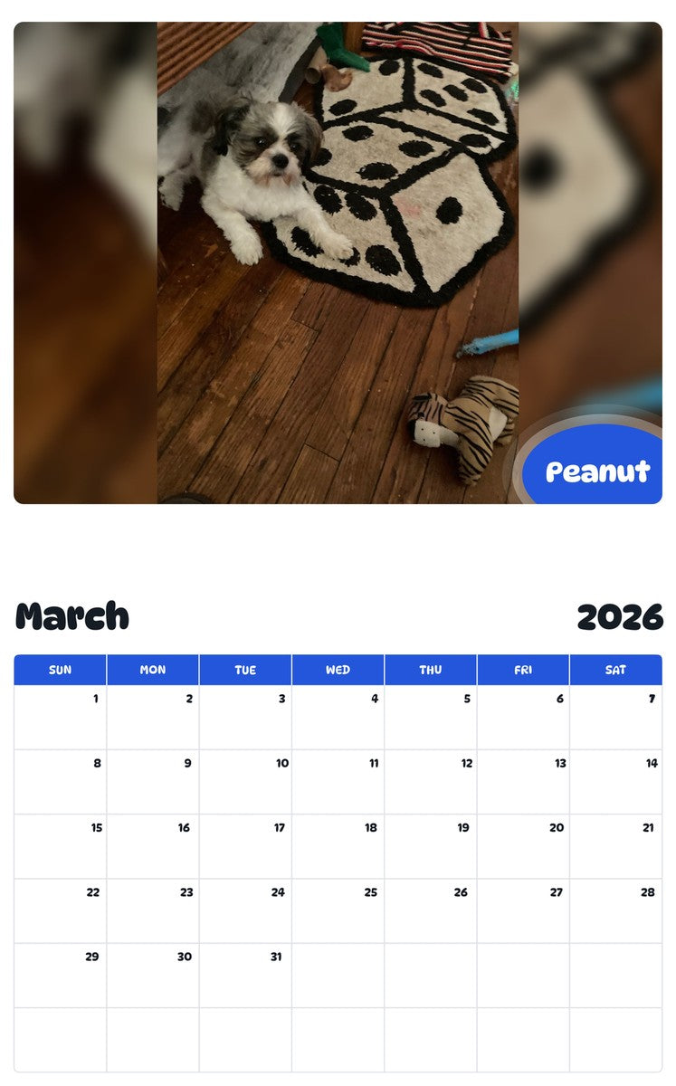 November 2025 - October 2026 Peanut - Pawidols Pet Calendar