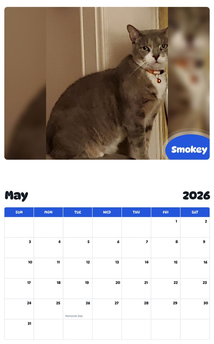 2026 - 2027 Smokey - Pawidols Pet Calendar