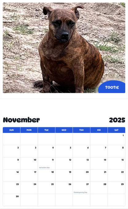July 2025 - June 2026 Tootie - Pawidols Pet Calendar
