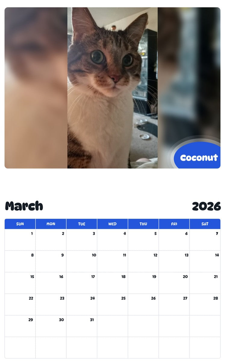 November 2025 - October 2026 Coconut - Pawidols Pet Calendar