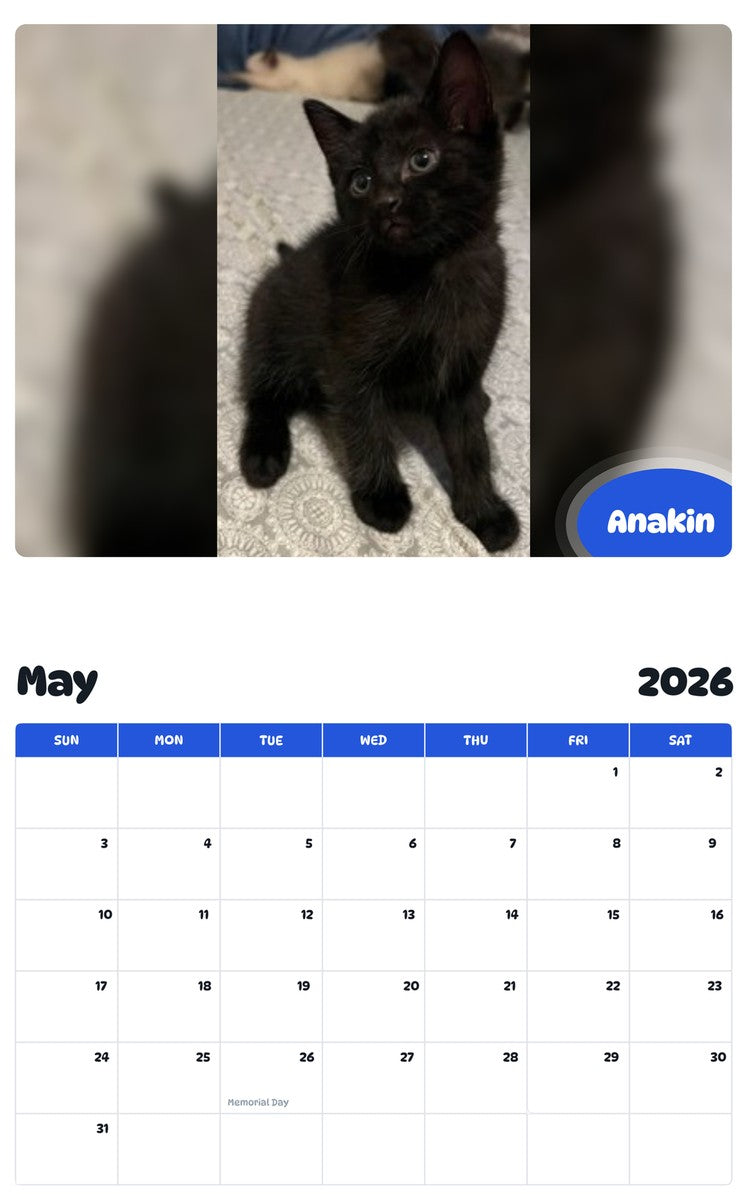 2026 - 2027 Anakin - Pawidols Pet Calendar
