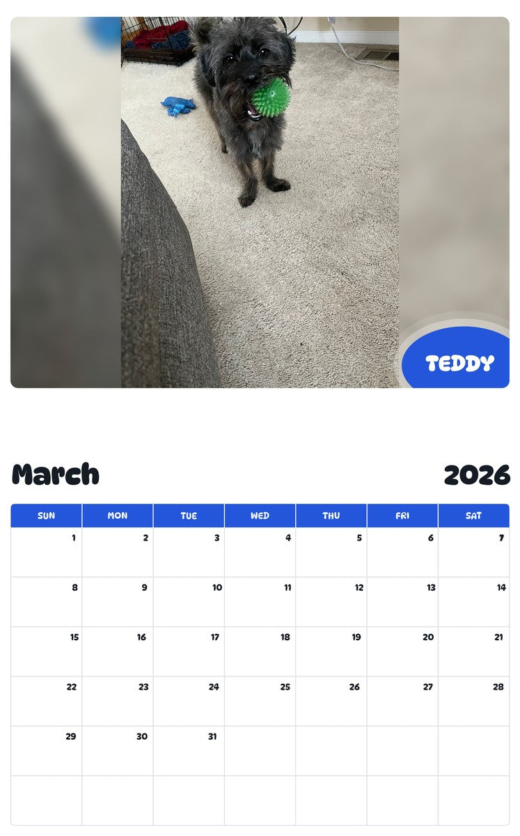 November 2025 - October 2026 TEDDY - Pawidols Pet Calendar