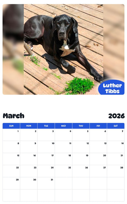 November 2025 - October 2026 Luther Tibbs - Pawidols Pet Calendar