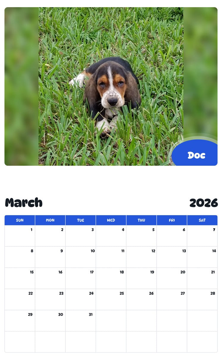 November 2025 - October 2026 Doc - Pawidols Pet Calendar