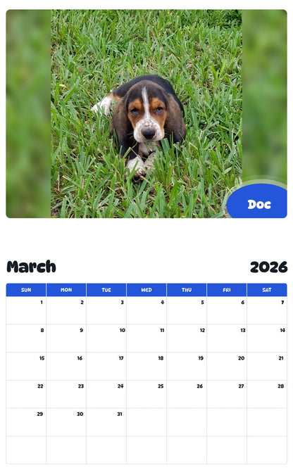 November 2025 - October 2026 Doc - Pawidols Pet Calendar