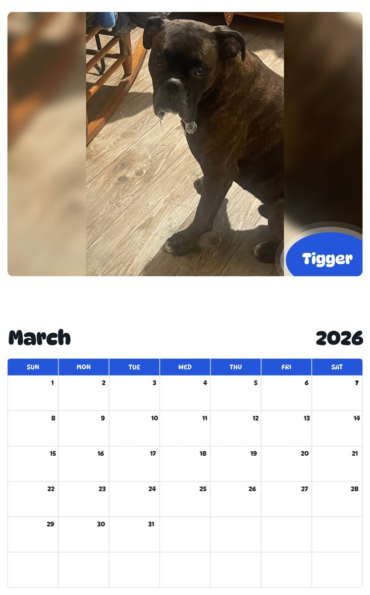 November 2025 - October 2026 Tigger - Pawidols Pet Calendar