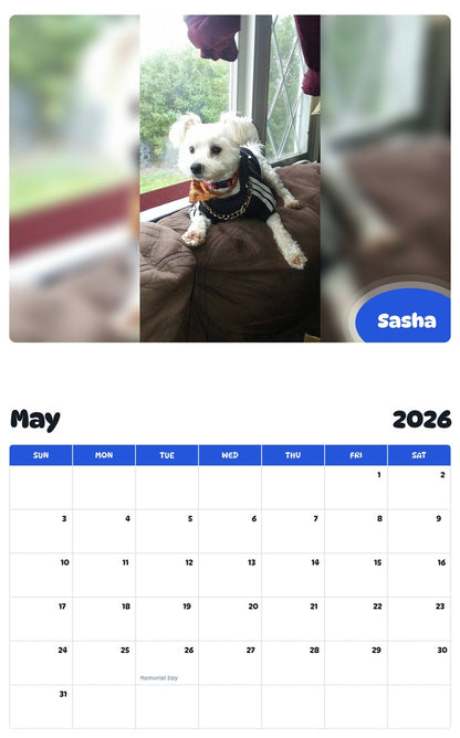 2026 - 2027 Sasha - Pawidols Pet Calendar