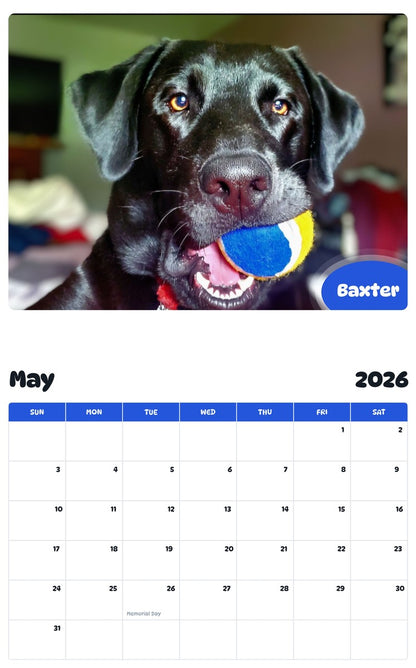 2026 - 2027 Baxter - Pawidols Pet Calendar