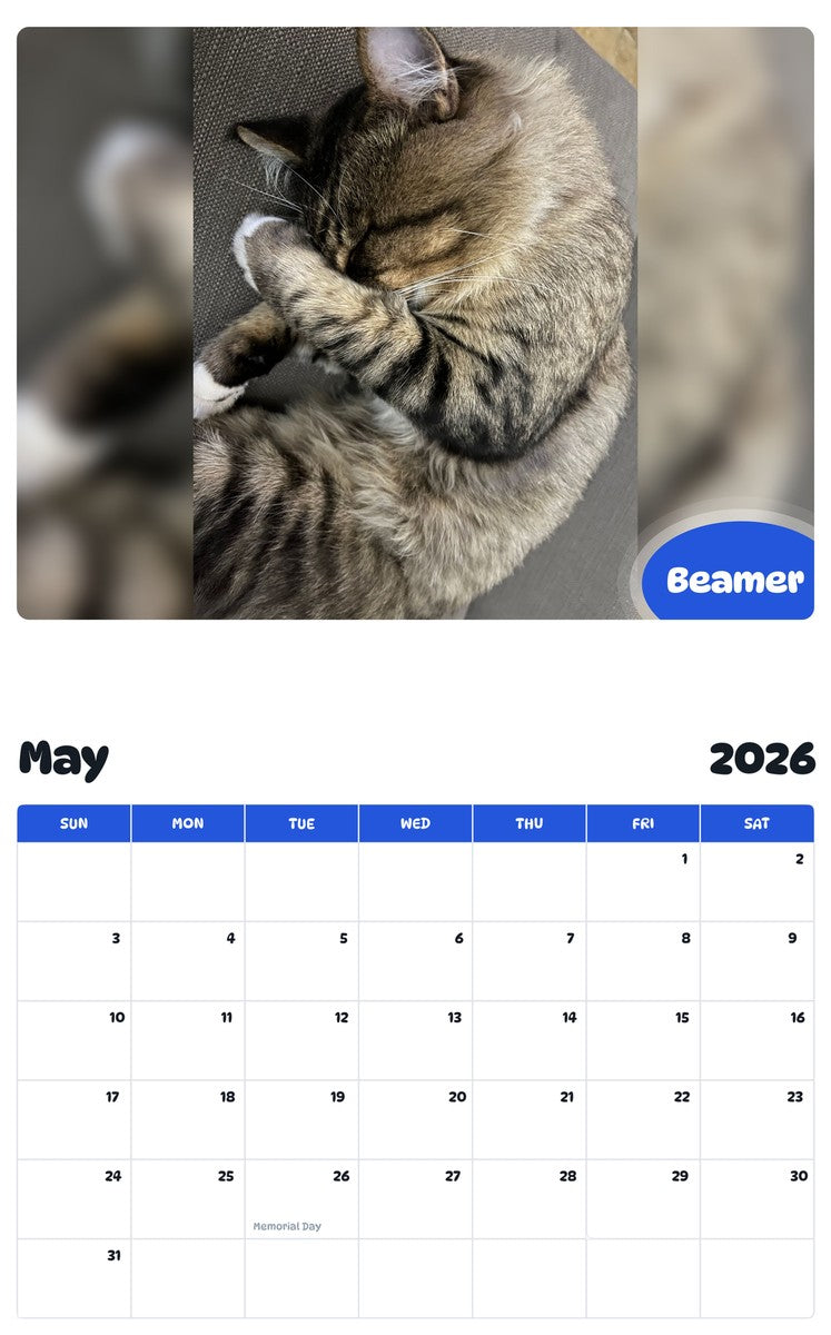 2026 - 2027 Beamer - Pawidols Pet Calendar