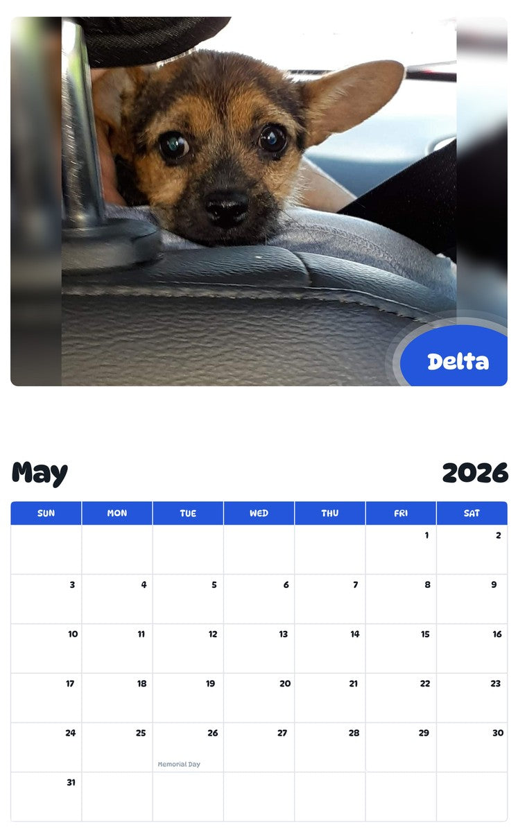 2026 - 2027 Delta - Pawidols Pet Calendar