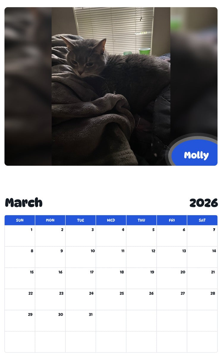 November 2025 - October 2026 Molly - Pawidols Pet Calendar