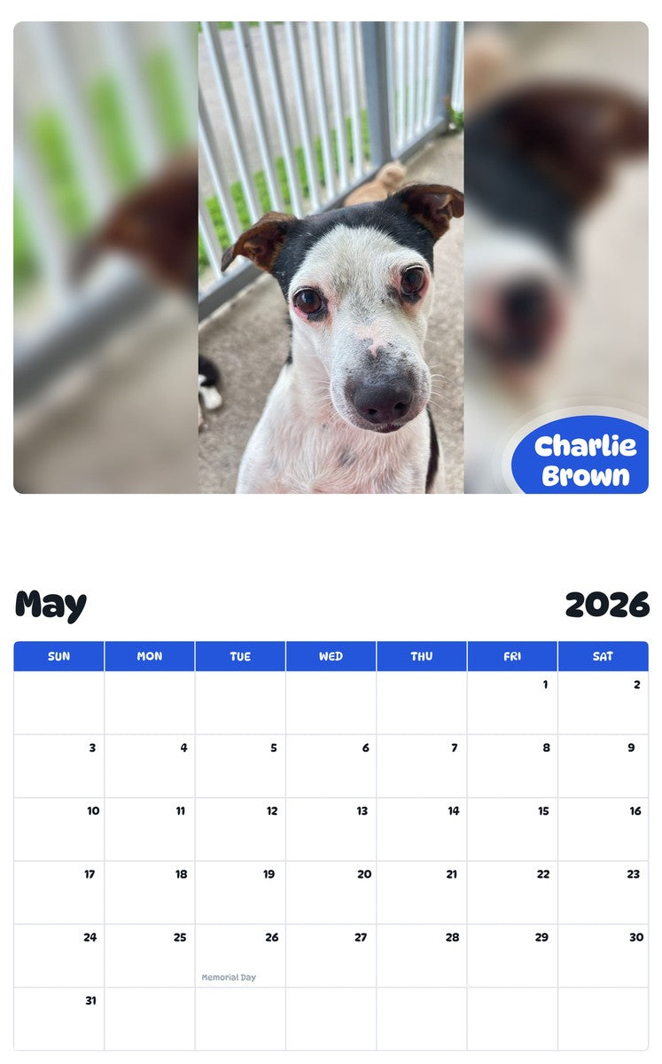 2026 - 2027 Charlie Brown - Pawidols Pet Calendar