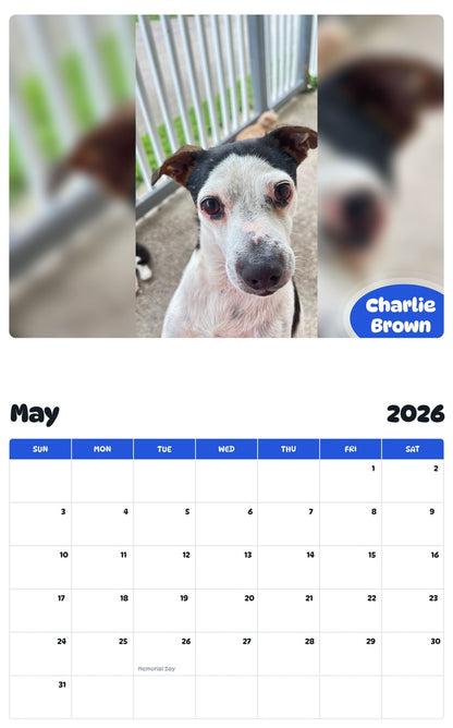2026 - 2027 Charlie Brown - Pawidols Pet Calendar